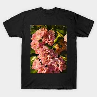 Common Hawthorn Flowers T-Shirt